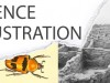 SCIENCE ILLUSTRATION
